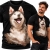 KOSZULKA HUSKY